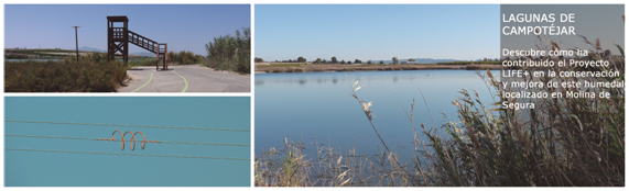 campotejar campotejar